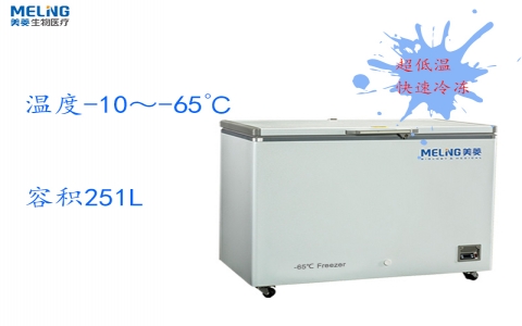 中科美菱-65℃超低溫冷凍存儲箱DW-GW251